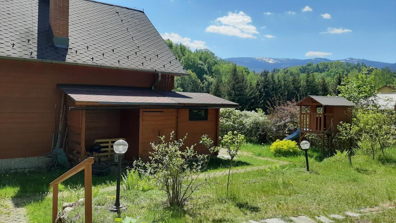 Chata Gorska Sowa Dla 12 Osob, 4 Sypialnie,Salon Z Kominkiem Villa Podgórzyn Exteriör bild