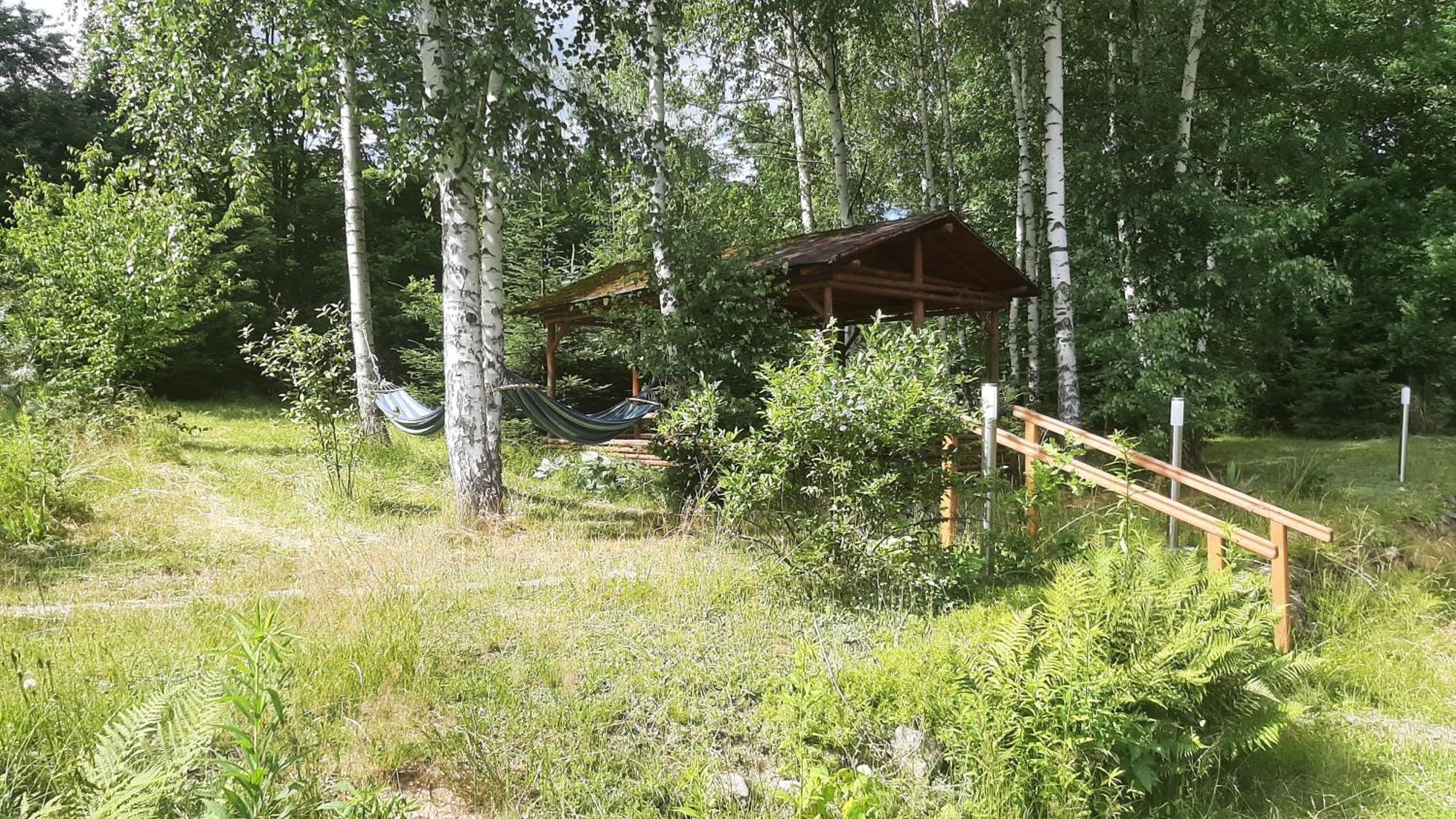 Chata Gorska Sowa Dla 12 Osob, 4 Sypialnie,Salon Z Kominkiem Villa Podgórzyn Exteriör bild